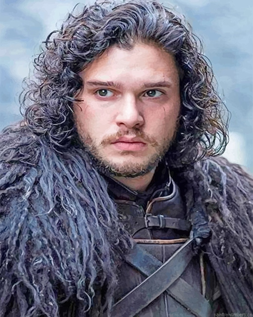 Jon Snow Game Of Thrones Kit Harington Painting By Numberss.png
