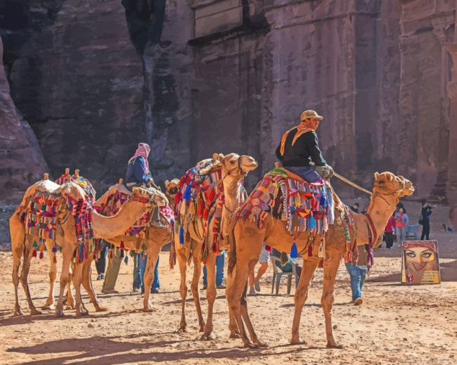 Jordan Petra Camels Desert Painting By Numberss.png