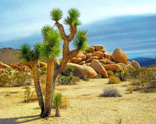 Joshua Tree Painting By Numbers.png