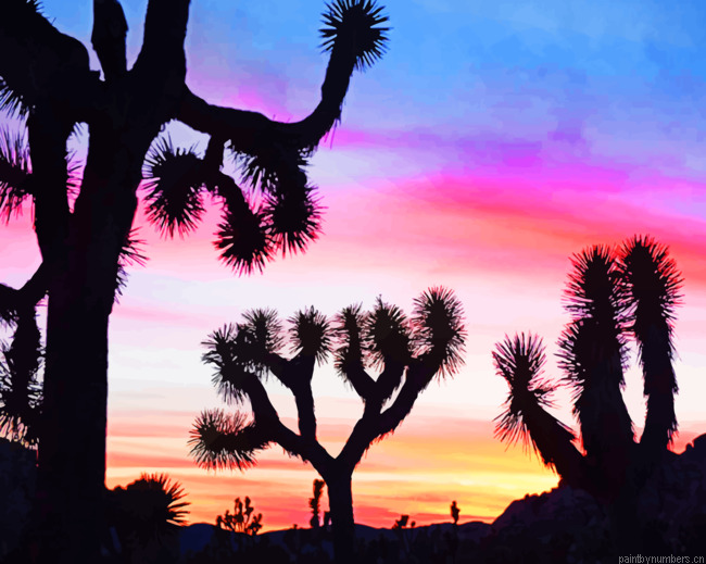Joshua Trees Jesmira Painting By Numbers.png