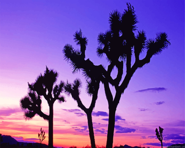 Joshua Trees Silhouette Painting By Numbers.png