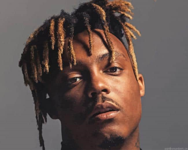 Juice World American Rapper Painting By Numberss.png