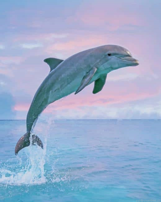 Jumping Dolphin Animals Painting By Numberss.png