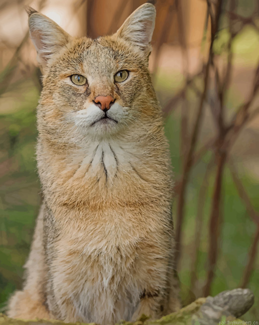 Jungle Cat With Green Eyes Animals Painting By Numberss.png