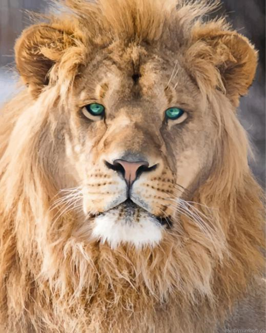 Jungle King Lion Animals Painting By Numberss.png
