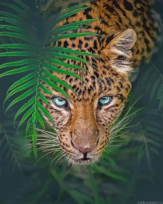 Jungle Tiger Animals Painting By Numbers.png