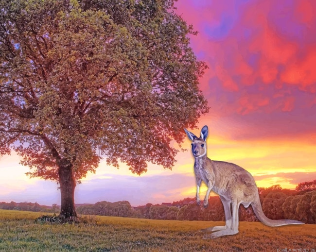Kangaroo During Sunset Animals Painting By Numberss.png