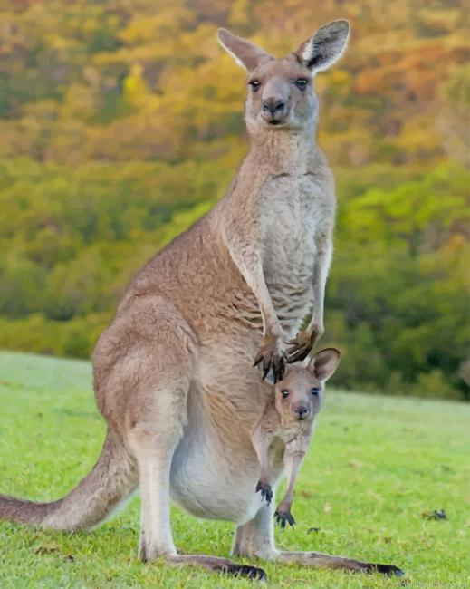 Kangaroos In Forest Animals Painting By Numbers.png