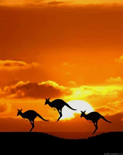 Kangaroos Silhouette Animals Painting By Numberss.png