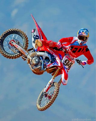 Ken Roczen Motorcycle Painting By Numbers.png