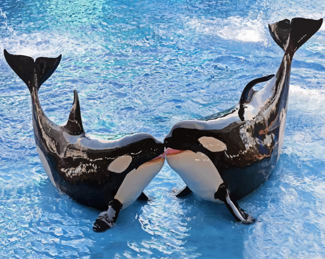 Killer Whales Painting By Numbers.png