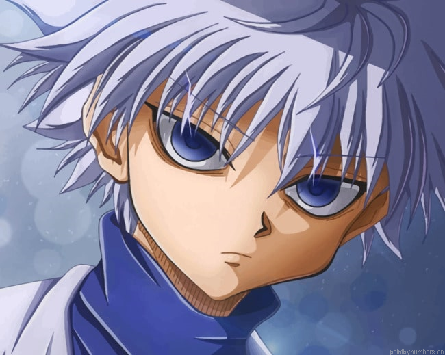 Killua Zoldyck Anime Character Painting By Numberss.png