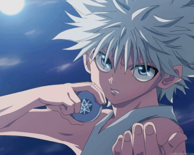 Killua Zoldyck Assassin Animations Painting By Numberss.png