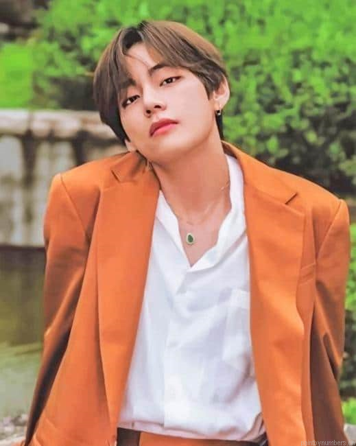 Kim Tae Hyung V Singers Painting By Numberss.png