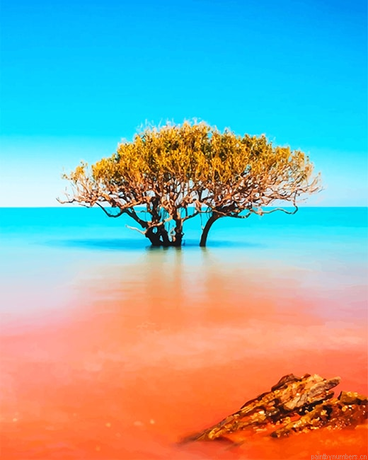 Kimberley Broome Australia Painting By Numberss.png