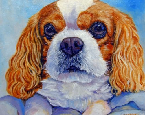 King Charles Painting By Numbers.png