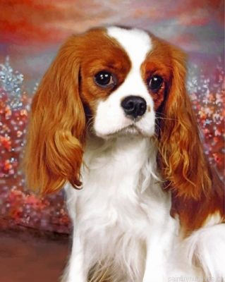 King Charles Spaniel Portrait Painting By Numbers.png
