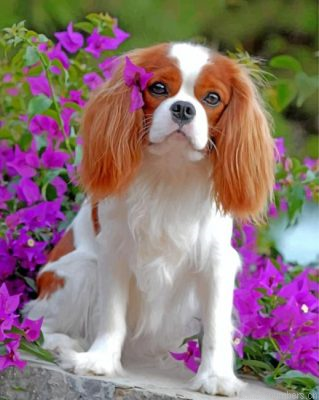 King Charles Spaniel Puppy Painting By Numbers.png