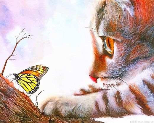 Kitten And Butterfly Painting By Numberss.png