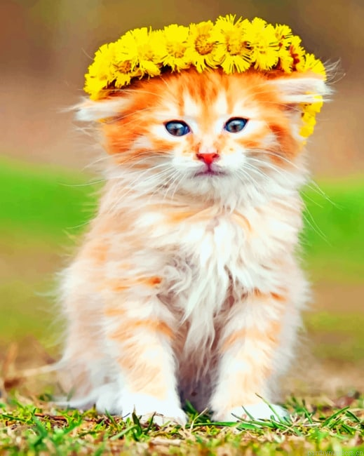 Kitten With Flowers Crown Animals Painting By Numberss.png