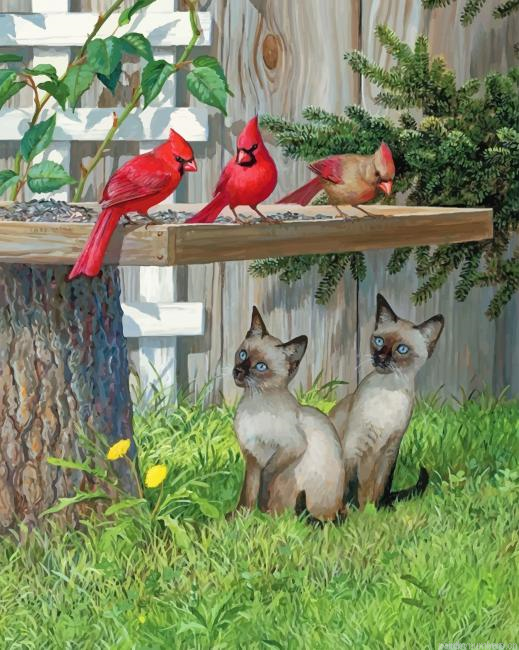Kittens And Red Birds Animals Painting By Numberss.png