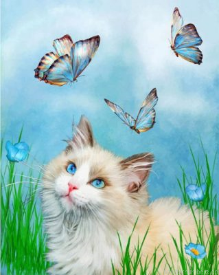 Kitty And Butterflies Painting By Numbers.png