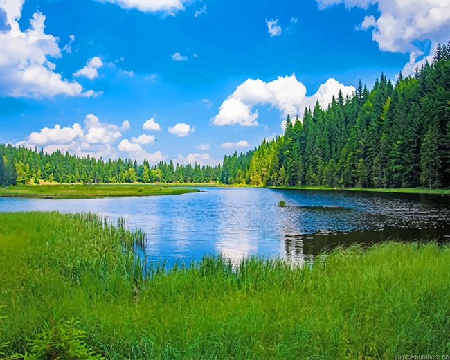 Kleiner Arbersee Lake Landscapes Painting By Numberss.png