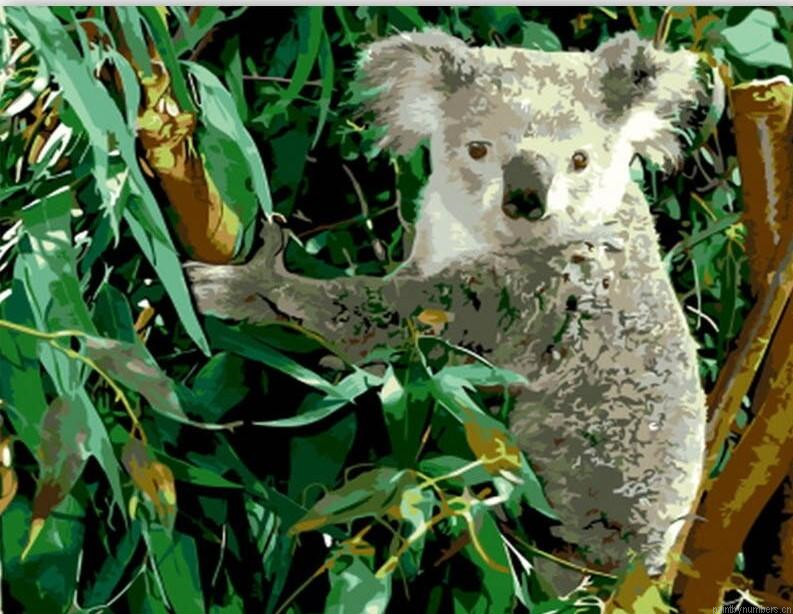 Koala Eucalyptus Painting By Numbers.png