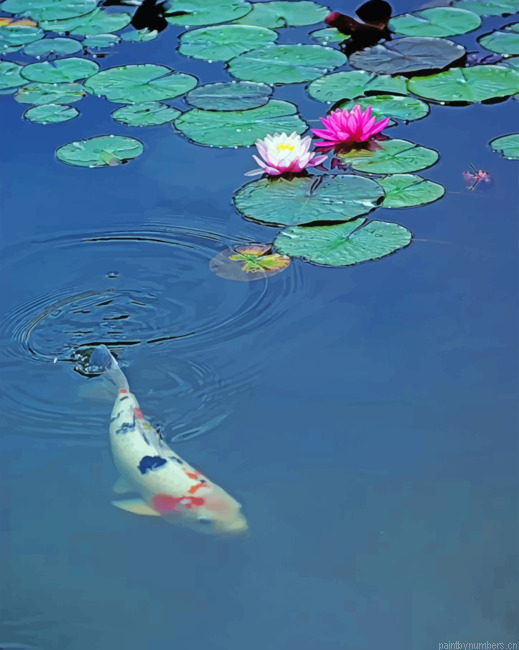 Koi Fish And Lotus Painting By Numbers.png