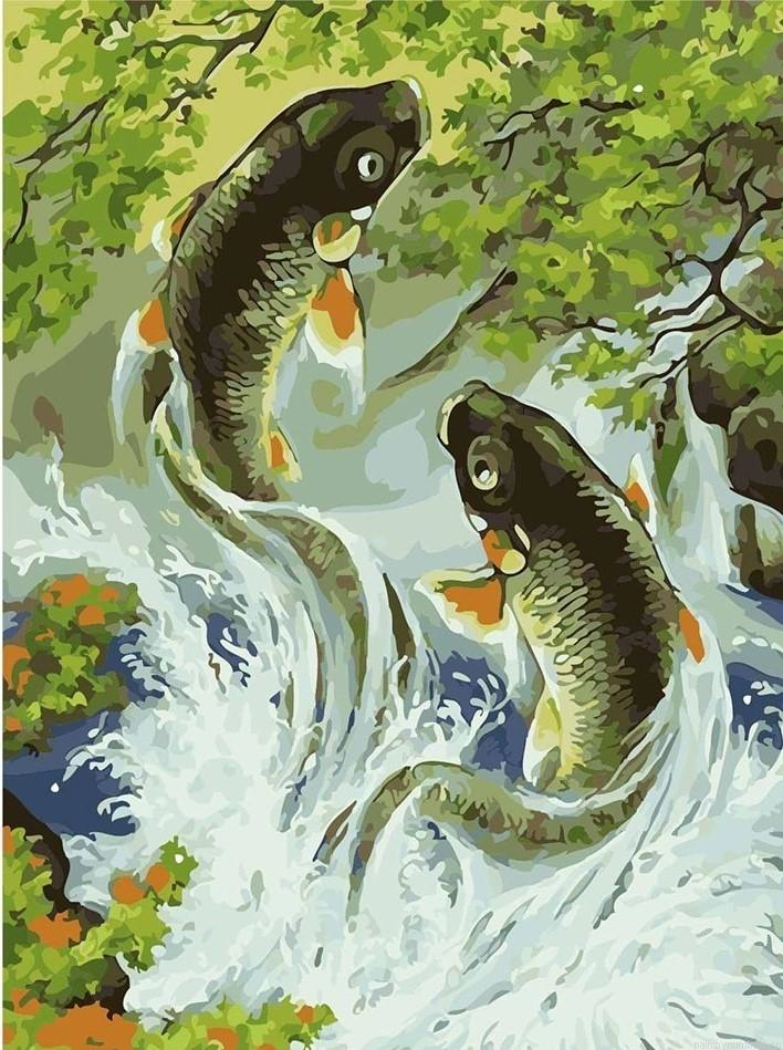 Koi Fish Animals Painting By Numbers.png