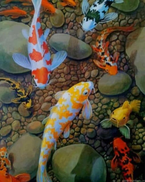Koi Fish Painting By Numbers.png