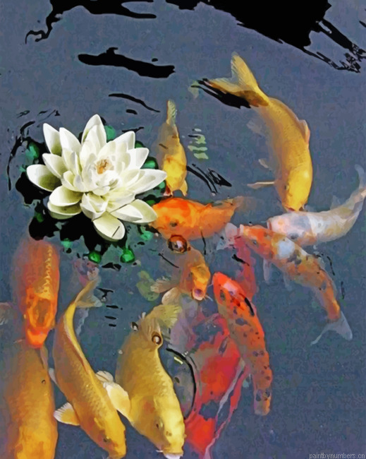 Koi Fish Pond Painting By Numbers.png