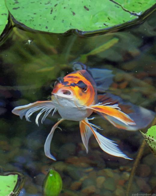 Koi Marathon Butterfly Fish Painting By Numberss.png