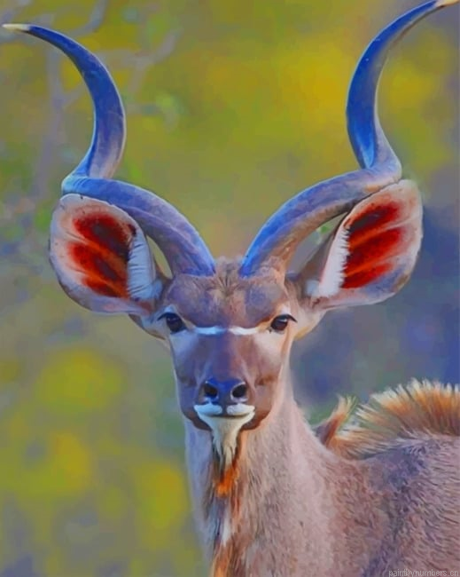 Kudu Animals Painting By Numberss.png