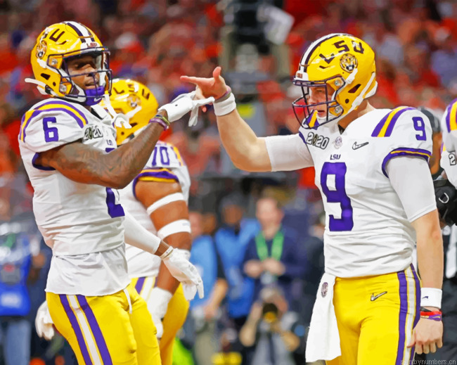 Lsu Tigers Football Painting By Numbers.png