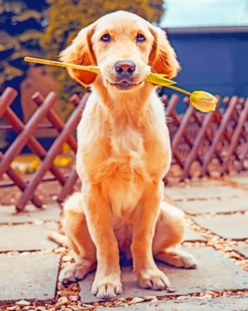 Labrador Dog Holding Flower Painting By Numbers.png