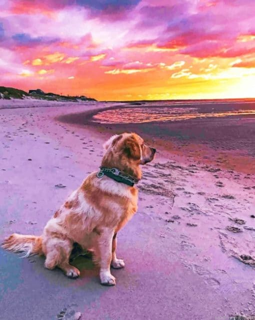Labrador Dog Watching Sunset Painting By Numbers.png