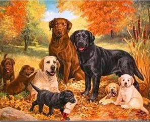Labrador Dogs Painting By Numbers.png