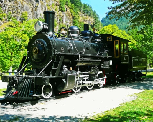 Lacomative Train Painting By Numberss.png
