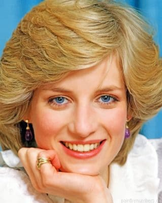 Lady Diana Painting By Numberss.png