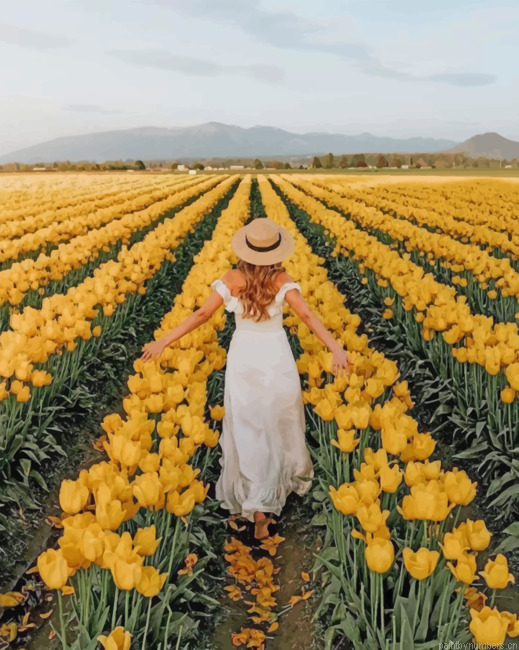 Lady In A Field Of Yellow Flowers Painting By Numbers.png