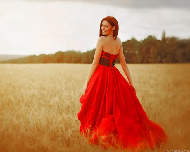 Lady In Red Dress Painting By Numberss.png