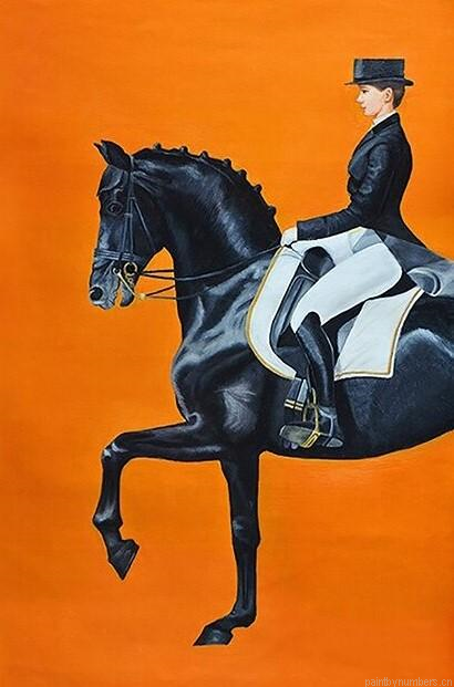 Lady Riding A Royal Horse Painting By Numberss.png