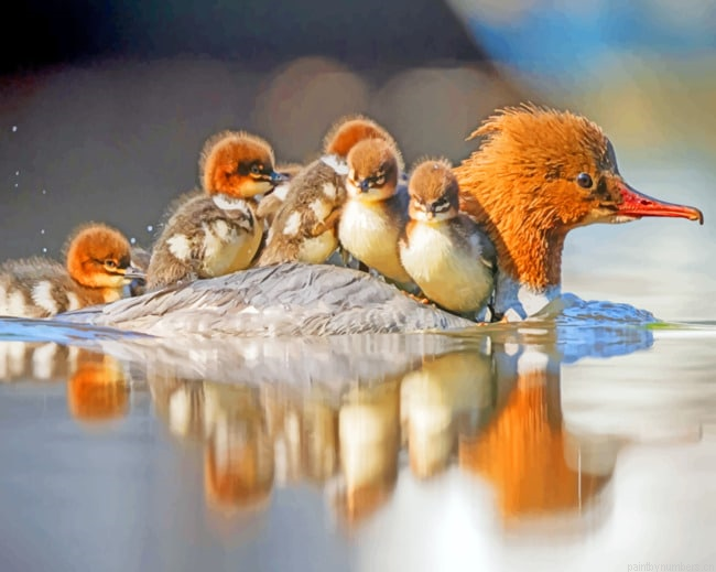 Lake Ducks Birds Painting By Numberss.png