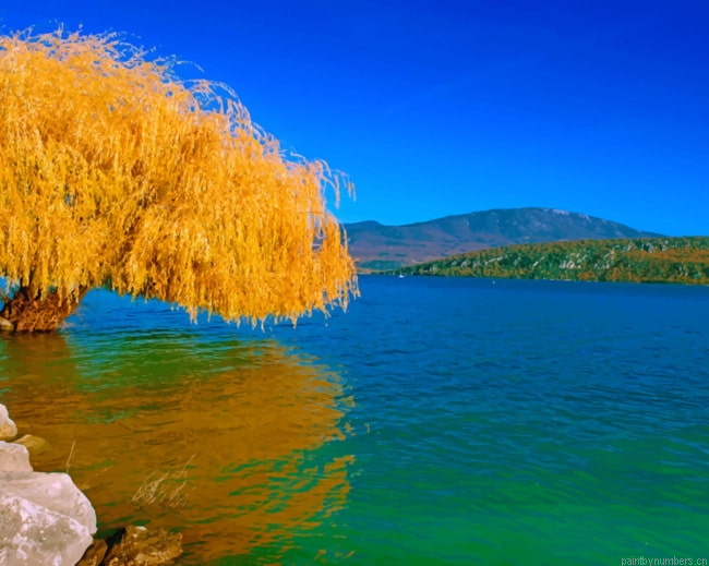 Lake Willow Yellow Tree Landscapes Painting By Numberss.png