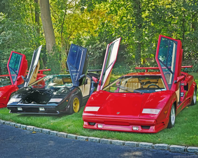 Lamborghini Countach Cars Painting By Numberss.png