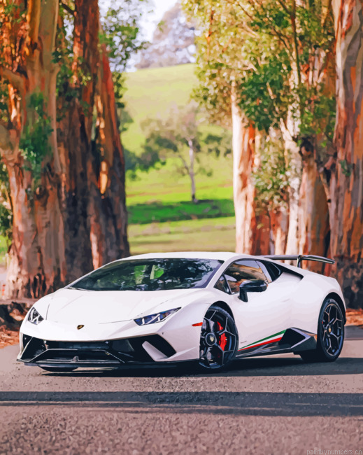 Lamborghini Huracan Cars Painting By Numberss.png