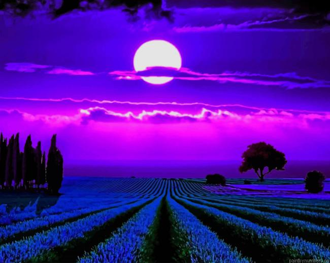 Lavender Fields Moonlight Painting By Numbers.png