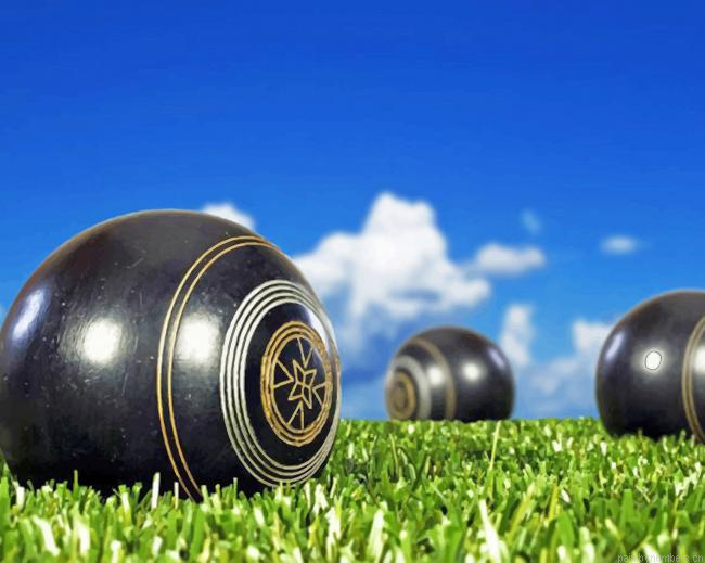 Lawn Bowls Painting By Numberss.png