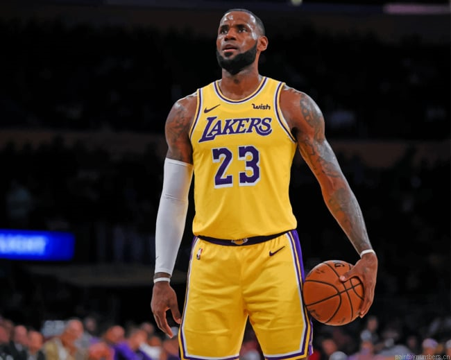 Lebron James Los Angeles Lakers Basketball Painting By Numberss.png